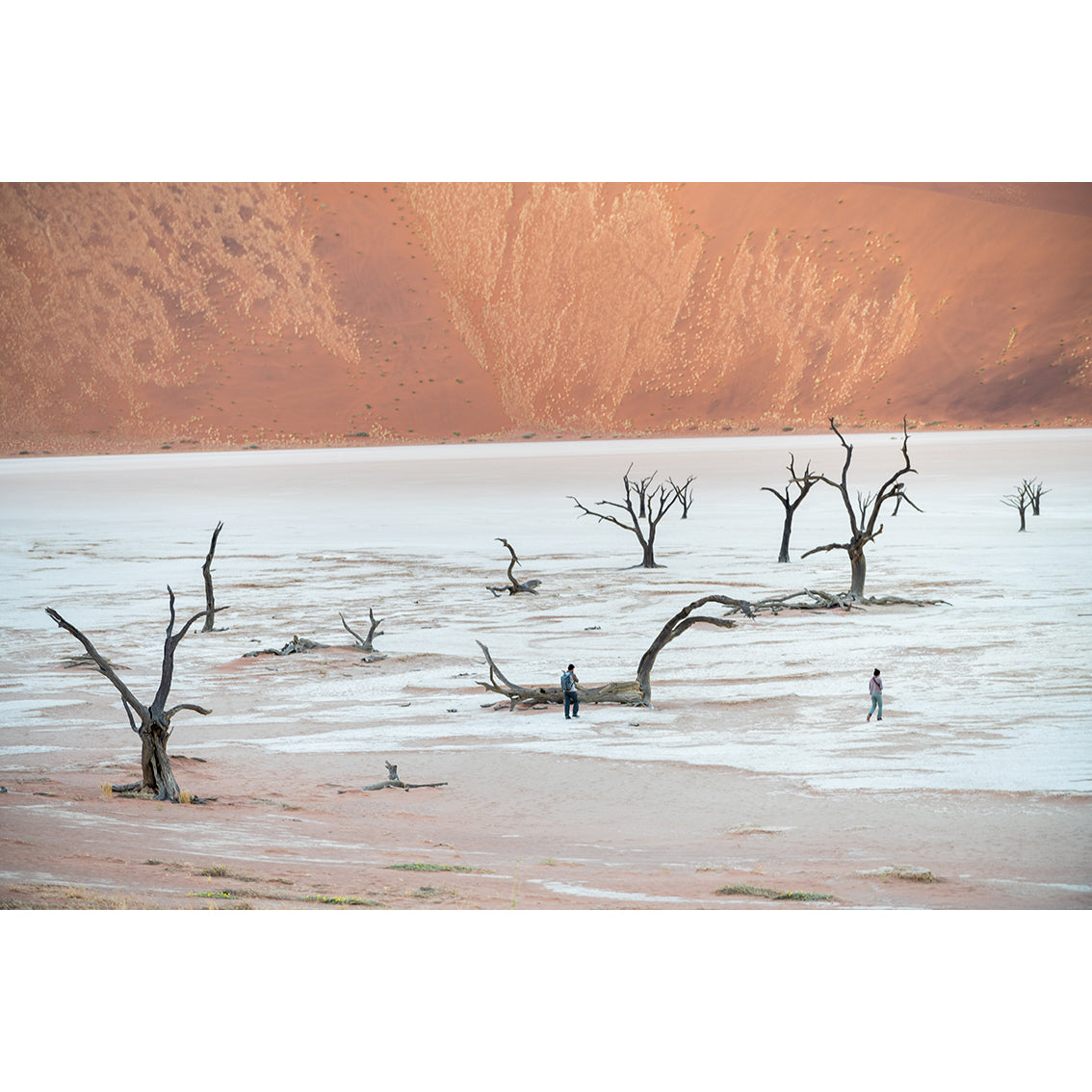 Namibia Fotoğraf Baskı